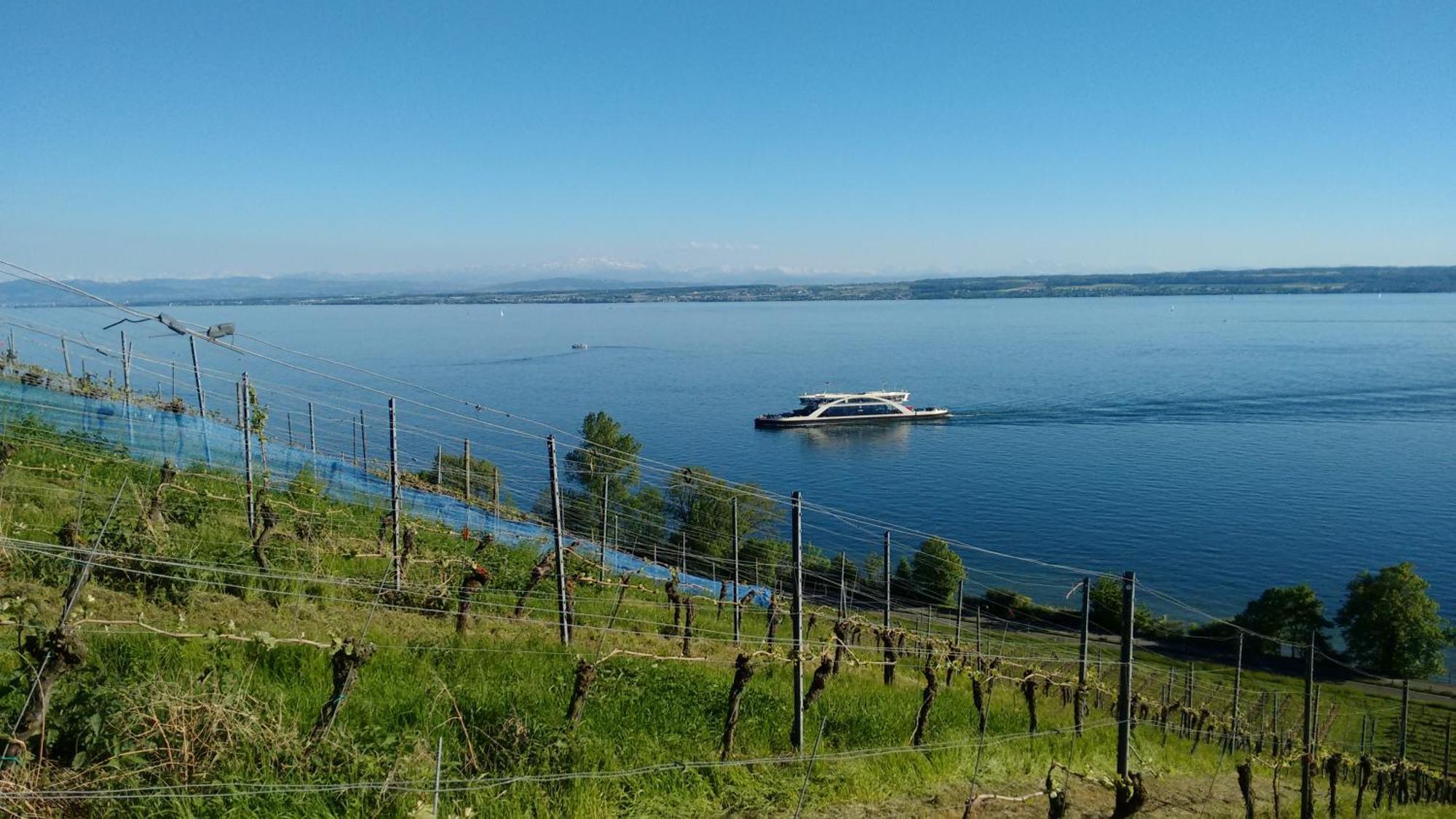 Haus Alexander Apartman Meersburg Kültér fotó