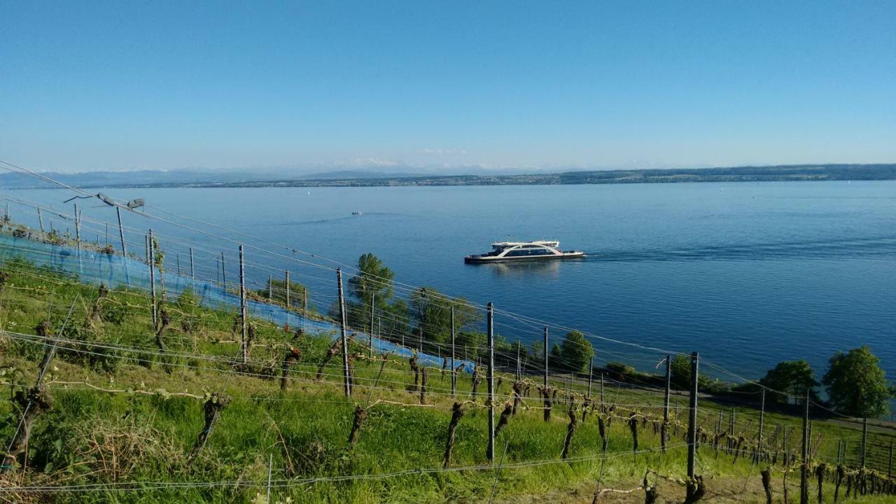 Haus Alexander Apartman Meersburg Kültér fotó